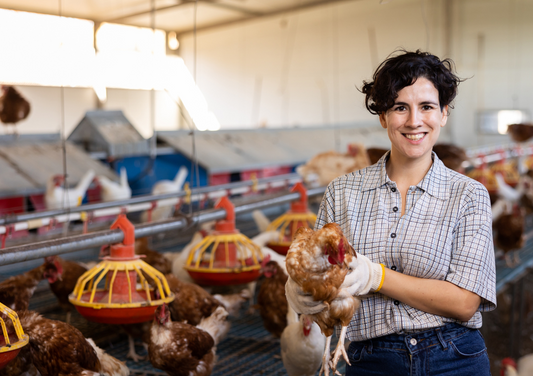 Why ChiFam Uses 100% American Chicken—And Why it Should Matter to You